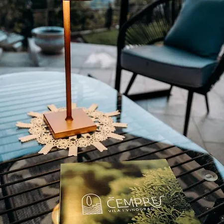 Villa The Cypress & Vineyard Ii Sremska Kamenica