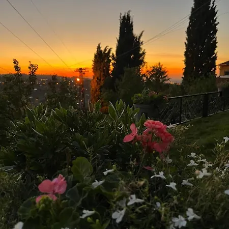 Villa The Cypress & Vineyard Ii *
