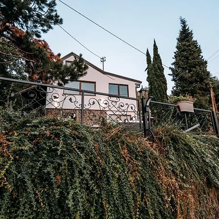 The Cypress & Vineyard Ii * Sremska Kamenica