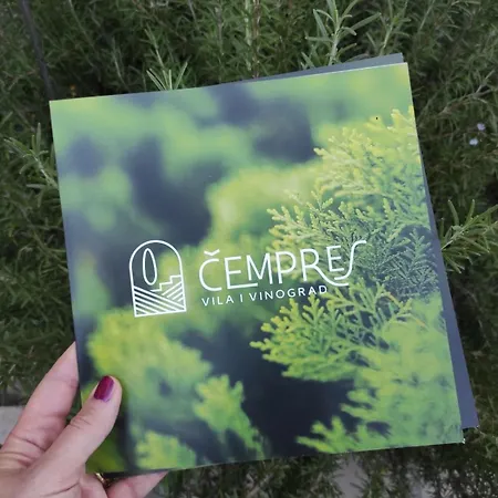 The Cypress & Vineyard Ii Willa *