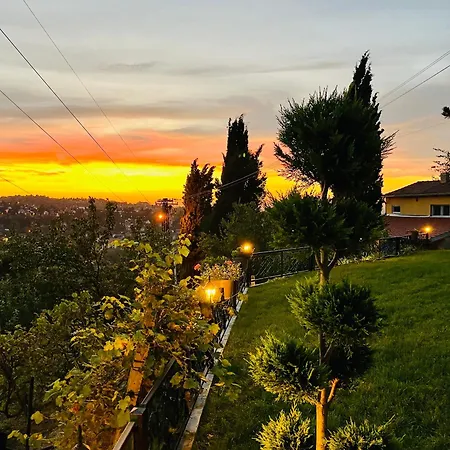 The Cypress & Vineyard Ii Willa